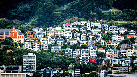 Colourful houses dotted along a Wellington hillside