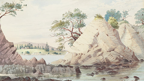 A painting of where Treaty of Waitangi was signed