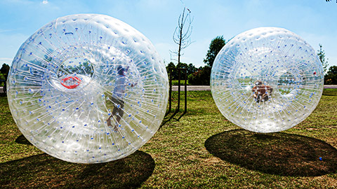 Zorb