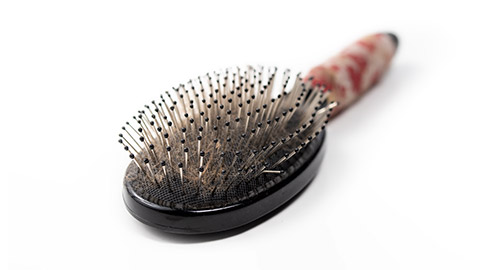 Pin brush for pets