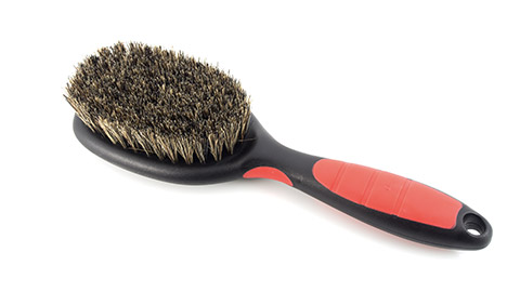 Dog brush - bristle