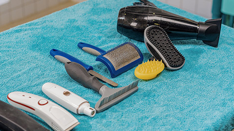 professional tools for grooming pets