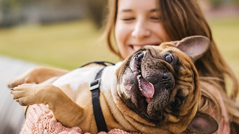 dog with owner spend a day at the park playing and having fun