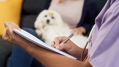 doctor writing records for pet prescription medicine at home