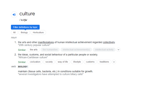 A google search for the meaning of culture