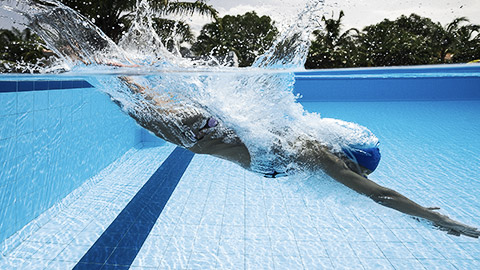 A swimmer diving into a lap pool