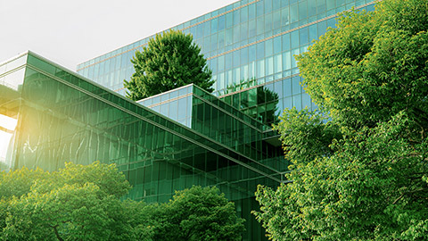 Sustainable glass office building with tree for reducing carbon dioxide