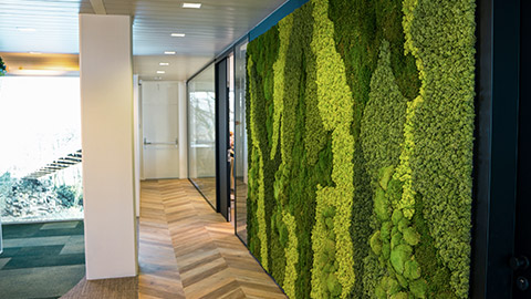 Green moss wall panel in office for greenoffice