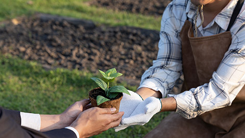 Eco-business company empower farmer with eco-friendly farming practice and clean agricultural technology