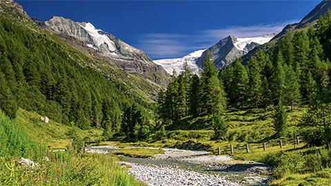 A stream in a beautiful mountain valley.