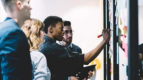 A team collaborating on a project