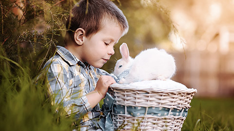 Boy playing with bunny on basket