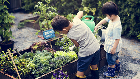 2 kids doing some gardening