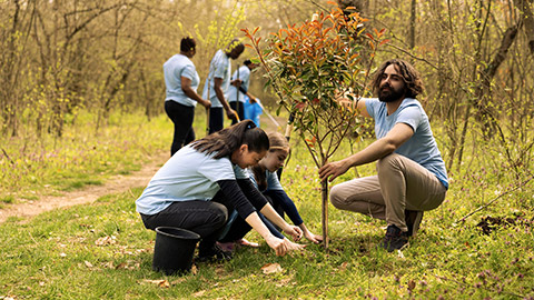 Volunteers team doing community service action to plant trees, covering holes in the ground with seedlings and greenery.