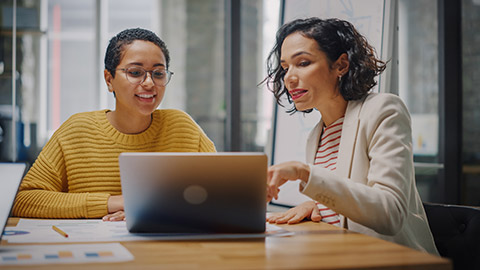 An accountant and client discussing documents on laptop