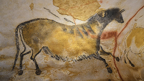 Lascaux cave drawings