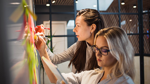 2 colleagues planning work in an office