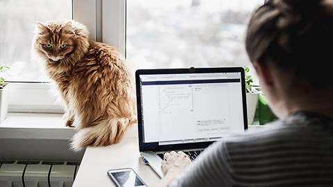 A person working from home with a pet cat