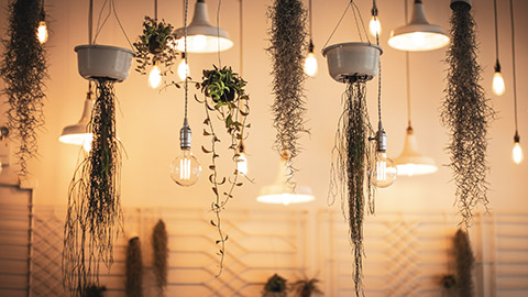 An assortment of lighting fixtures in a house