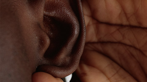 an image of an ear