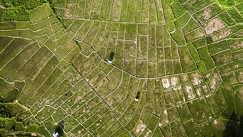 A topshot of a farm with divisions of land