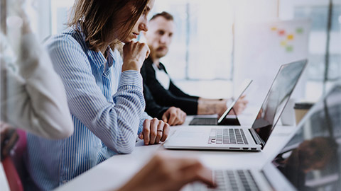 Workers seriously working with computer