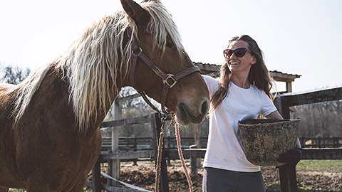 A person prepping a horse