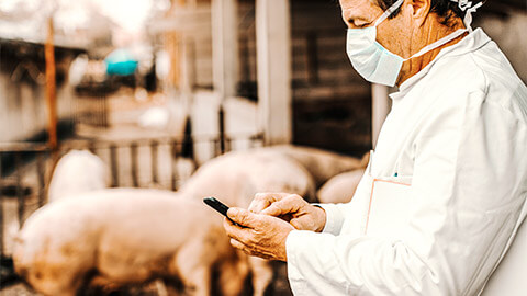 A vet on site, interacting with their smartphone, about to make a call to a client