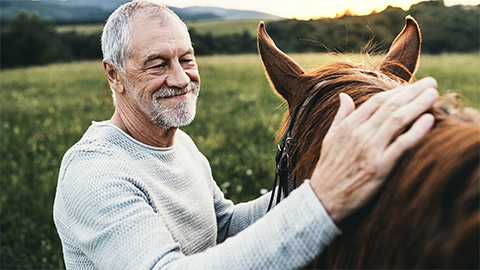 A person petting a horse