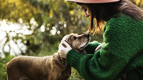 A person handling a dog