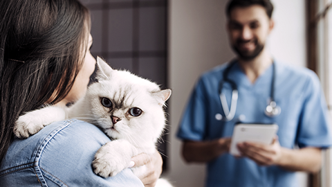 pet owner holding cat with veterinary standing