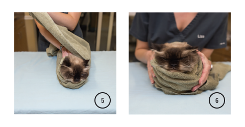 A diagram depicting steps to doing the kitty burrito