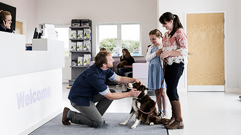 A veterinarian welcoming a dog and the owner