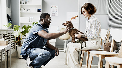 A veterinarian talking to a client and their dog