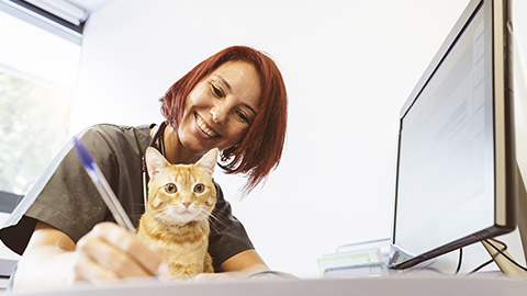 A vet writing down pet information