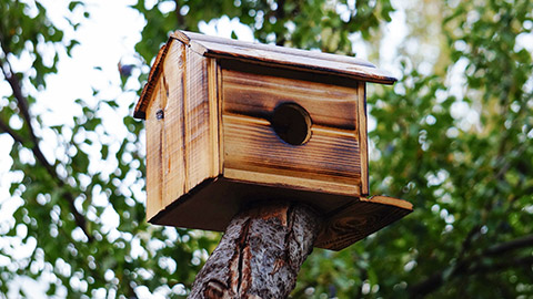 A birdfeeder outside