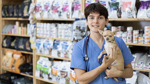 Guy veterinarian is standing with dog Chihuahua in pet store pharmacy