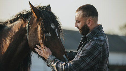 A young bearded farmer takes care of horses.