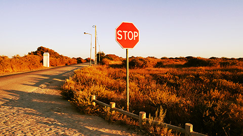 a stop sign on a country road