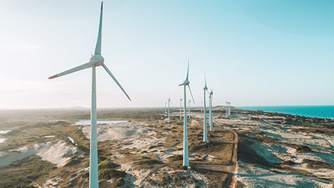 A row of wind turbines along a coastal area