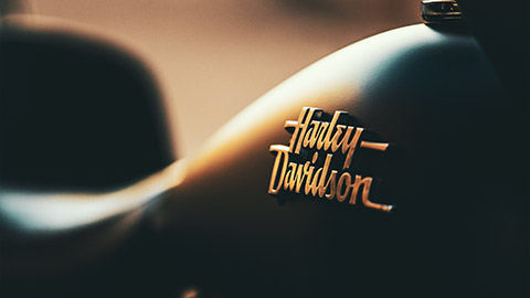 A close view of the Harley Davidson logo