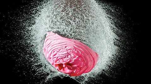 A high speed exposure of a bursting water balloon