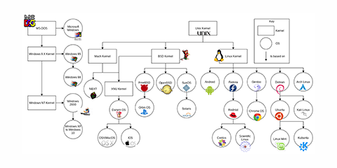 A diagram showing the OS family tree