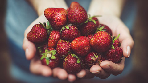 A person holding a handful of brightly coloured strawberries