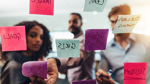 A group working on an agile project