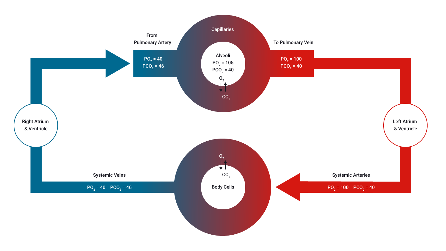 Image showing pressure differences of gases in different regions