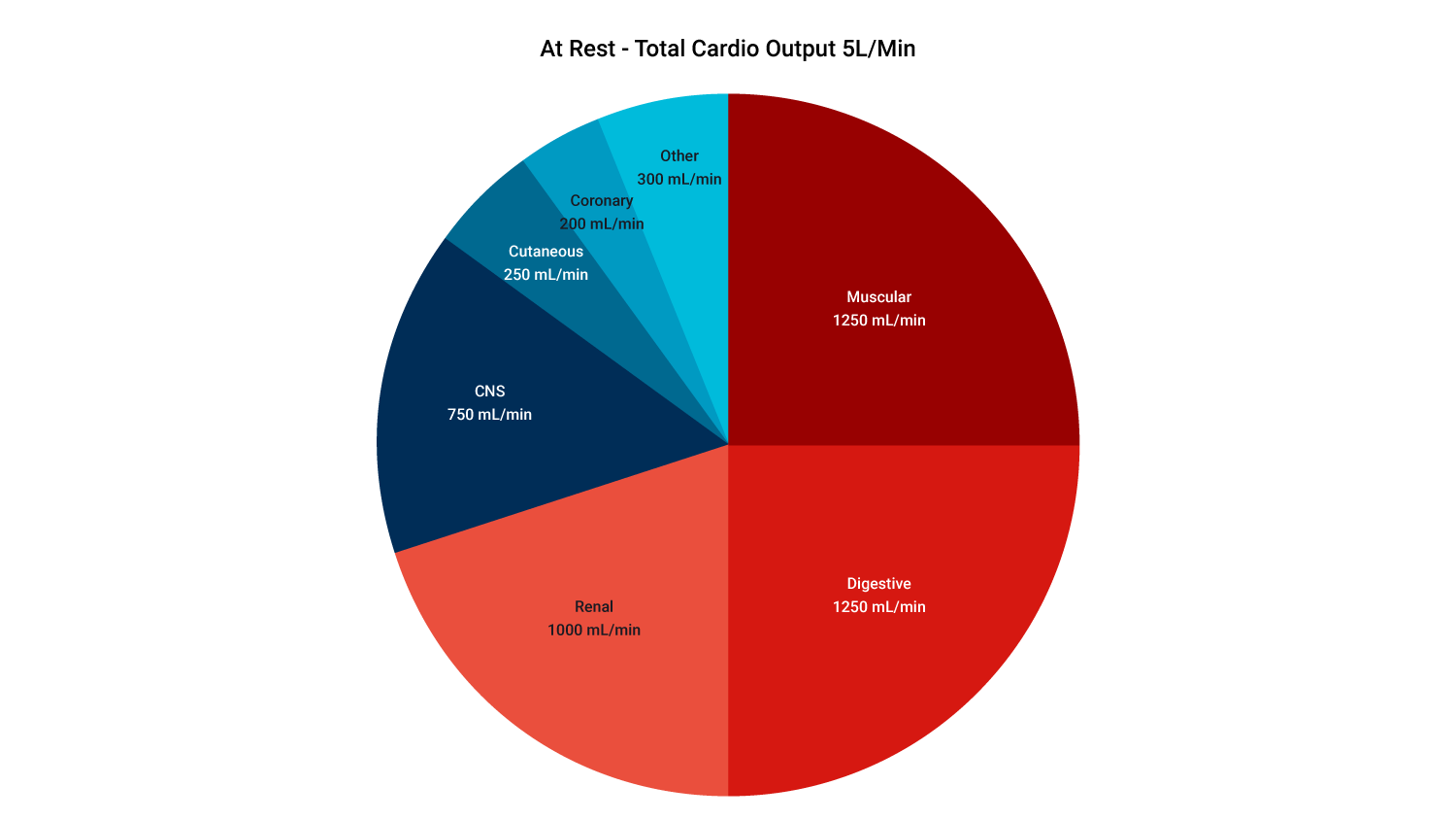 blood flow at rest diagram