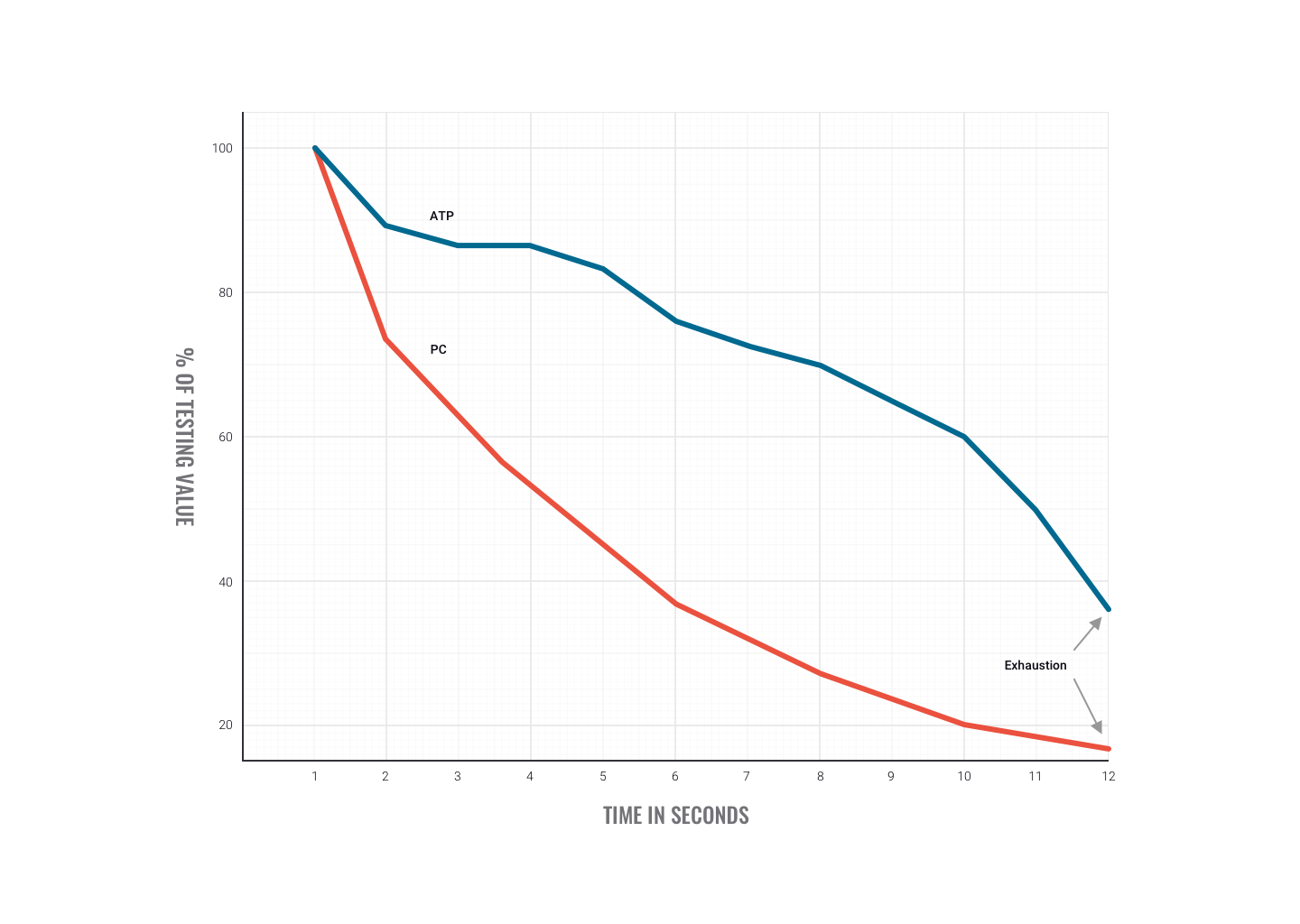 chart of muscle time to fatigue