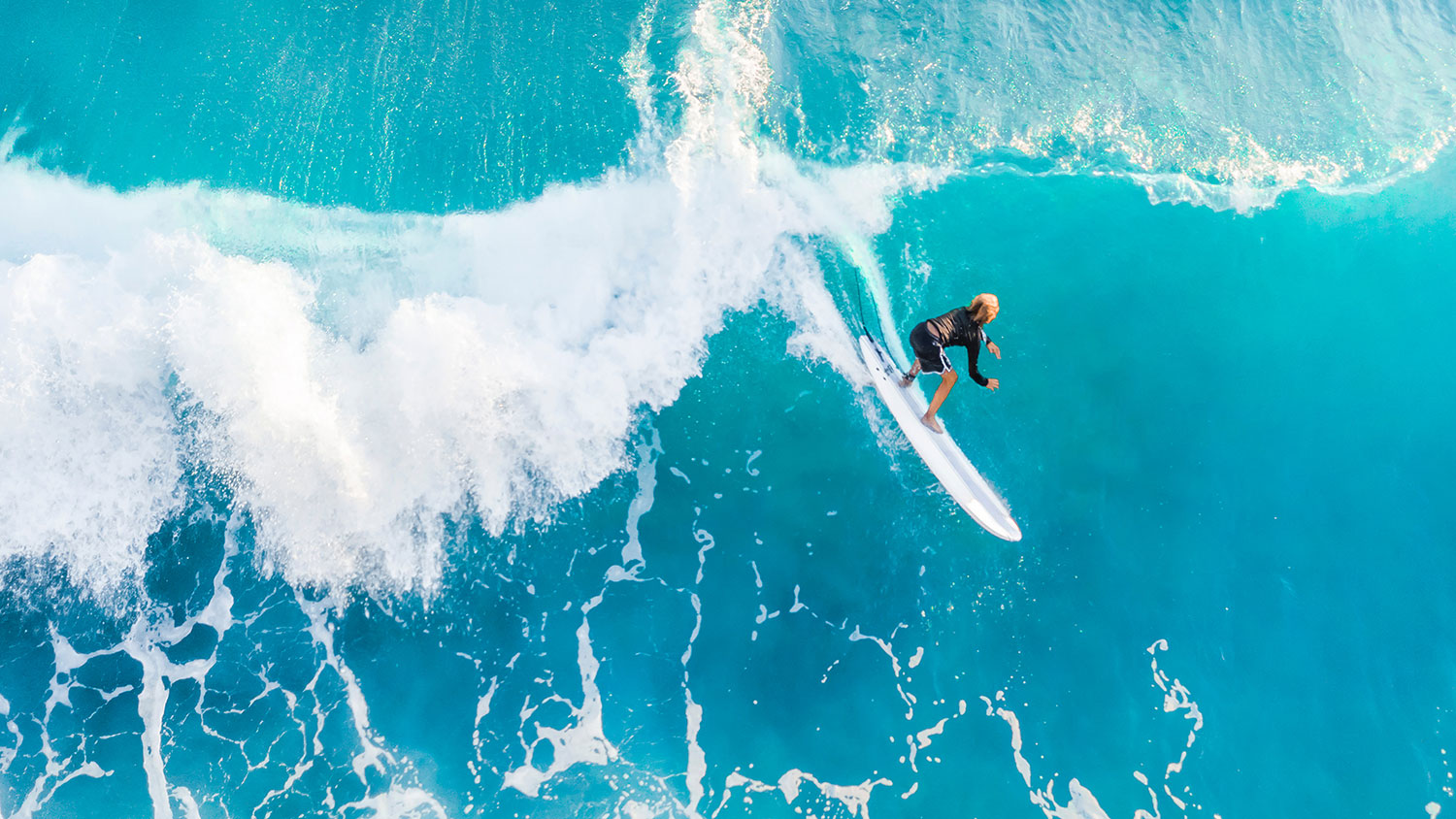 Surfer on the crest of the wave