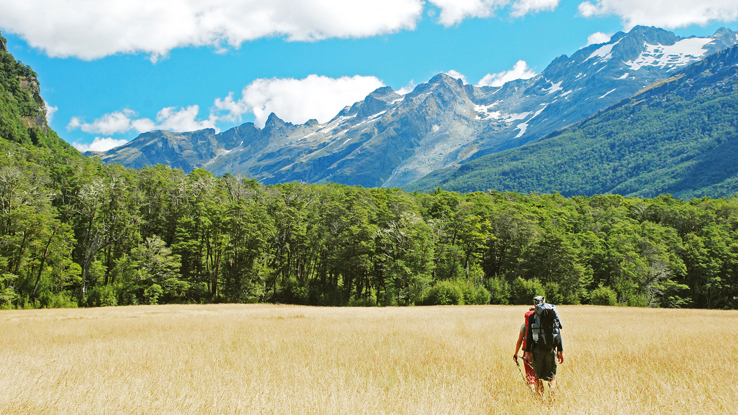 Tramping in New Zealand